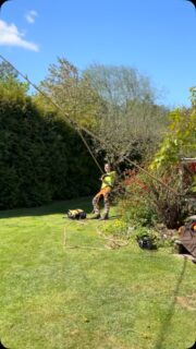 Fasiken så blåsigt det var idag 🥵
.
#arborist #arblife #trädfällning #sektionsfällning #chainsaw #motorsåg #climbing #arborculture #pruning #beskärning #tiger 
#arborists #trädfällare #treeclimbing #high #highlife #stihl #husqvarna #treeclimber 
#arboristsofinstagram #treework #arborists #treecare #treesurgeon #top #fly #arboristlife #arb